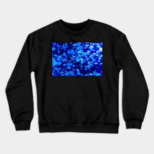 Jellyfish Crewneck Sweatshirt